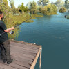 Euro Fishing | Ultimate Edition (Xbox One) - Xbox Live Key - EUROPE Euro Fishing | Ultimate Edition (Xbox One) - Xbox Live Key - EUROPE