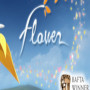 Flower (PC) - Steam Key - ROW