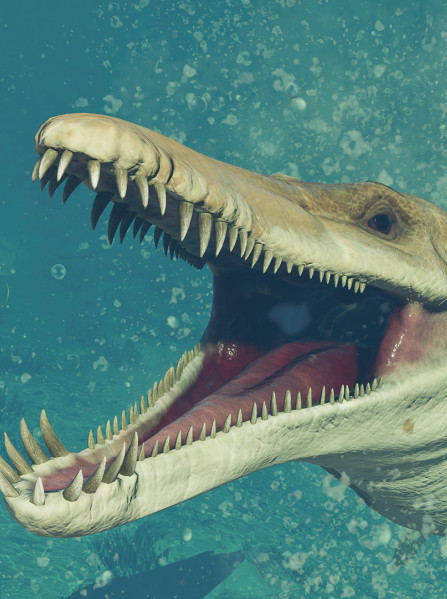 Jurassic World Evolution 2: Early Cretaceous Pack (Xbox Series X/S, Windows 10) - Xbox Live Key - EUROPE Jurassic World Evolution 2: Early Cretaceous Pack (Xbox Series X/S, Windows 10) - Xbox Live Key - EUROPE