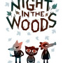 Night in the Woods (PC) - Steam Key - EUROPE