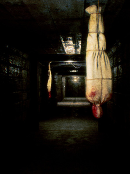 EBOLA (PC) - Steam Key - EUROPE