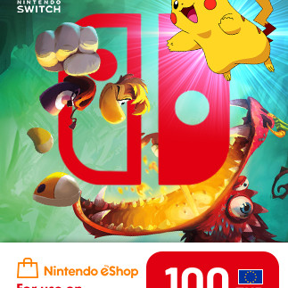 Nintendo eShop Card 100 EUR - Nintendo eShop Key - FRANCE