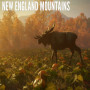 theHunter Call of the Wild - New England Mountains (PC) - Steam Key - GLOBAL