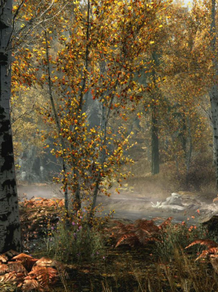 The Elder Scrolls V: Skyrim Special Edition (Xbox Series X/S) - Xbox Live Key - ROW