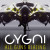 Cygni: All Guns Blazing (PC) - Steam Key - GLOBAL