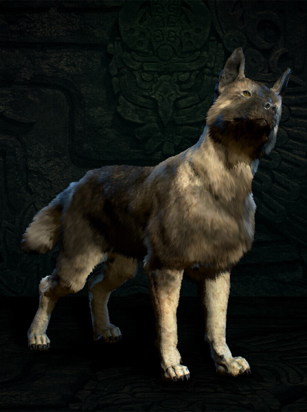 Diablo IV: Vessel of Hatred | Deluxe Edition (Xbox Series X/S) - Xbox Live Key - EUROPE