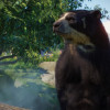 Planet Zoo: Zookeepers Animal Pack (PC) - Steam Key - GLOBAL Planet Zoo: Zookeepers Animal Pack (PC) - Steam Key - GLOBAL