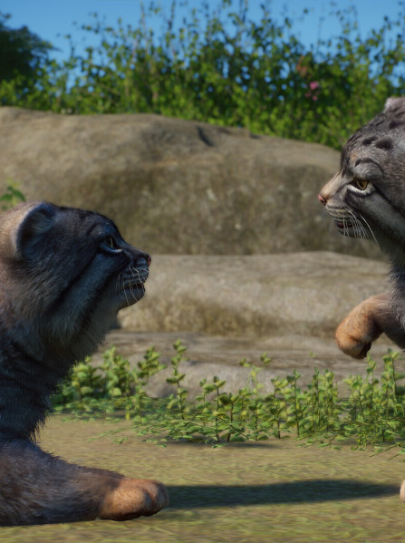 Planet Zoo: Zookeepers Animal Pack (PC) - Steam Key - GLOBAL Planet Zoo: Zookeepers Animal Pack (PC) - Steam Key - GLOBAL