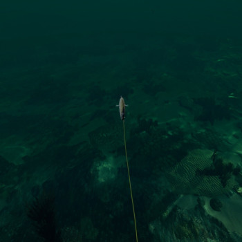 Ultimate Fishing Simulator: Florida (PC) - Steam Key - GLOBAL