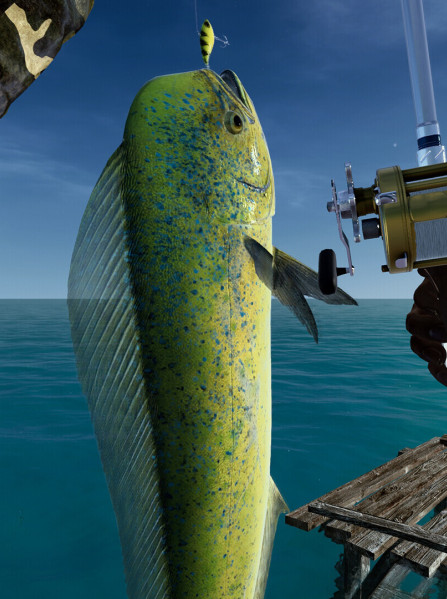 Ultimate Fishing Simulator: Florida (PC) - Steam Key - GLOBAL
