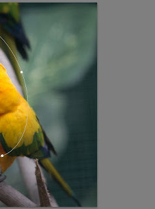 Adobe Lightroom 5.7 (PC) - Adobe Key - EUROPE