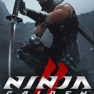 NINJA GAIDEN 2 Black (PC) - Steam Key - EUROPE