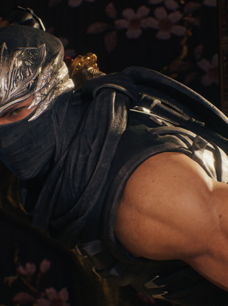 NINJA GAIDEN 2 Black (PC) - Steam Key - EUROPE