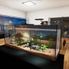 Aquatic Store Simulator (PC) - Steam Key - GLOBAL