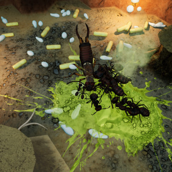 Empires of the Undergrowth - Exploding Ants (PC) - Steam Key - GLOBAL