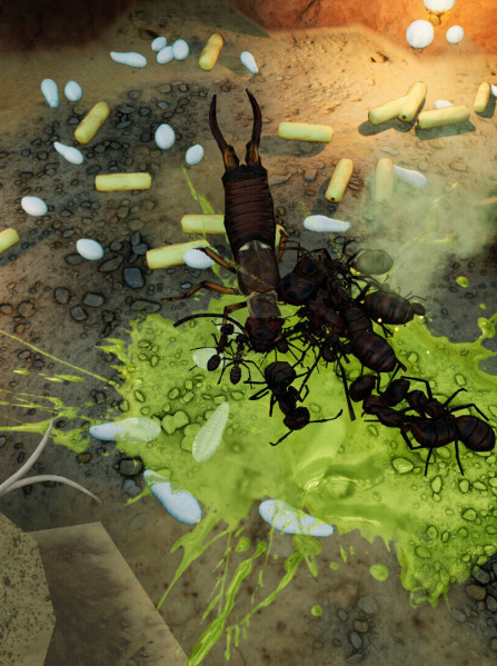 Empires of the Undergrowth - Exploding Ants (PC) - Steam Key - GLOBAL Empires of the Undergrowth - Exploding Ants (PC) - Steam Key - GLOBAL