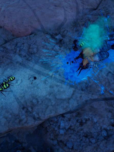 Empires of the Undergrowth - Exploding Ants (PC) - Steam Key - GLOBAL Empires of the Undergrowth - Exploding Ants (PC) - Steam Key - GLOBAL