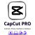 CapCut Pro 1 Year - CapCut Account - GLOBAL