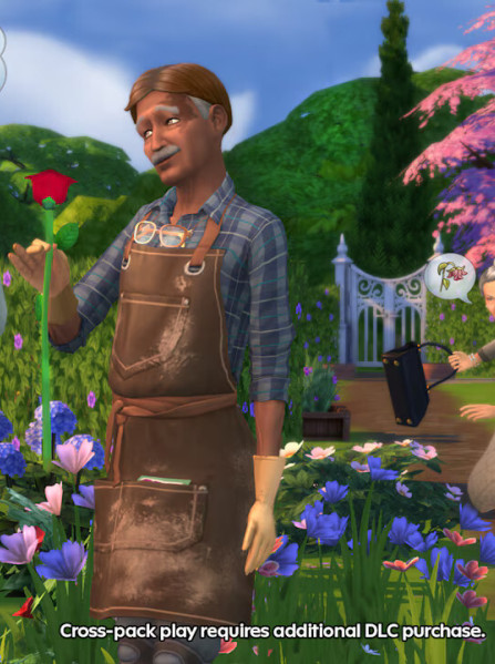 The Sims 4 Golden Years Kit (PC) - EA App Key - GLOBAL