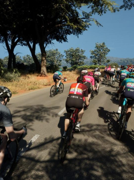 Pro Cycling Manager 25 (PC) - Steam Key - ROW Pro Cycling Manager 25 (PC) - Steam Key - ROW