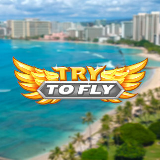 Try to Fly (PC) - Steam Key - GLOBAL