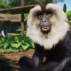 Planet Zoo: Asia Animal Pack (PC) - Steam Key - GLOBAL Planet Zoo: Asia Animal Pack (PC) - Steam Key - GLOBAL