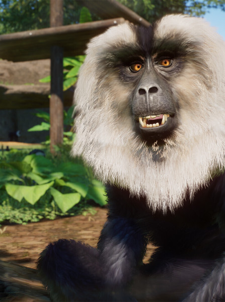 Planet Zoo: Asia Animal Pack (PC) - Steam Key - GLOBAL Planet Zoo: Asia Animal Pack (PC) - Steam Key - GLOBAL
