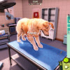 Animal Shelter 2 (PC) - Steam Key - GLOBAL Animal Shelter 2 (PC) - Steam Key - GLOBAL