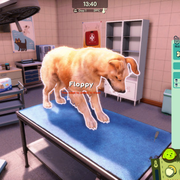 Animal Shelter 2 (PC) - Steam Key - GLOBAL