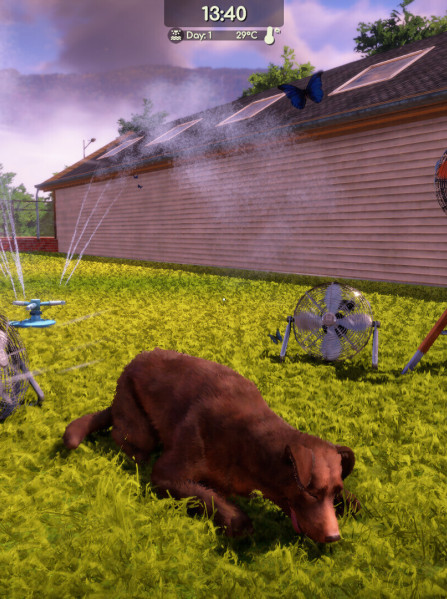 Animal Shelter 2 (PC) - Steam Key - GLOBAL Animal Shelter 2 (PC) - Steam Key - GLOBAL