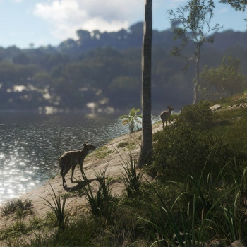 theHunter: Call of the Wild - Emerald Coast Australia (PC) - Steam Key - LATAM