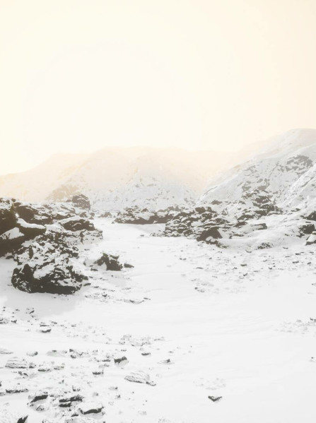 Lushfoil Photography Sim (PC) - Steam Key ROW