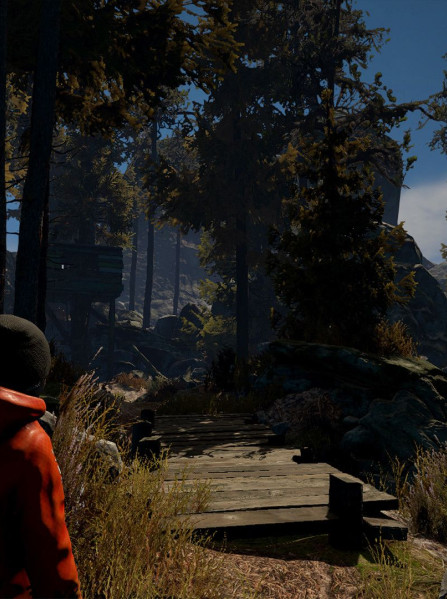 Through the Woods Steam Key - RU/CIS