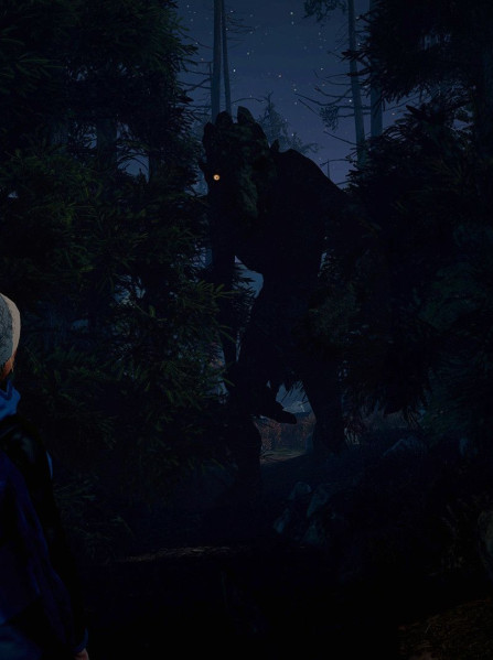 Through the Woods: Digital Collector's Edition Steam Key - RU/CIS