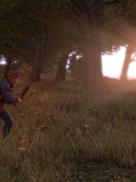 DayZ Steam Key - ROW