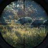 theHunter: Call of the Wild Steam Key - ROW