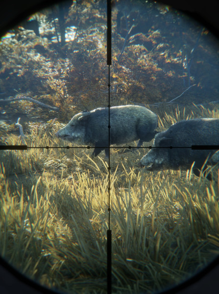 theHunter: Call of the Wild Steam Key - ROW