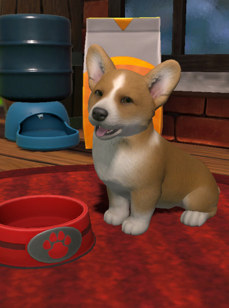 Little Friends: Puppy Island (PC) - Steam Key Turkey/India