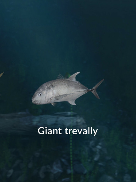 Ultimate Fishing Simulator - New Fish Species (PC) - Steam Key ROW