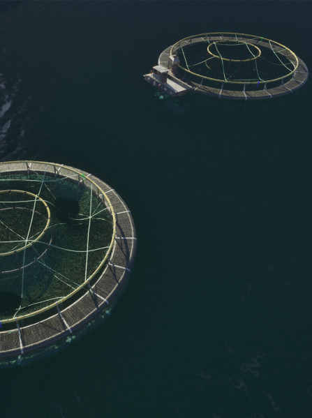 Ships at Sea (PC) - Steam Key RU/CIS