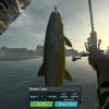 Ultimate Fishing Simulator - Taupo Lake (PC) - Steam Key  - ROW