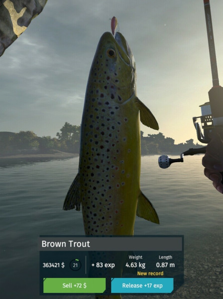 Ultimate Fishing Simulator - Taupo Lake (PC) - Steam Key  - ROW