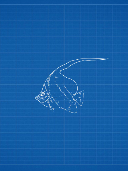 Ultimate Fishing Simulator - Thailand (PC) - Steam Key  - RU/CIS