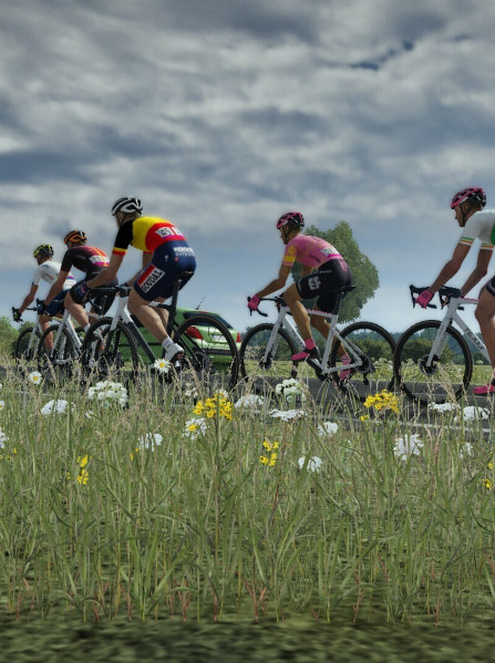 Tour de France 2024 (PC) - Steam Key - ROW